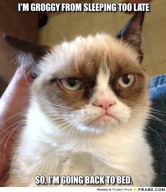 frabz-Im-groggy-from-sleeping-too-late-So-Im-going-back-to-bed-f9f747
