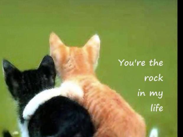 wp-1506110471684 image